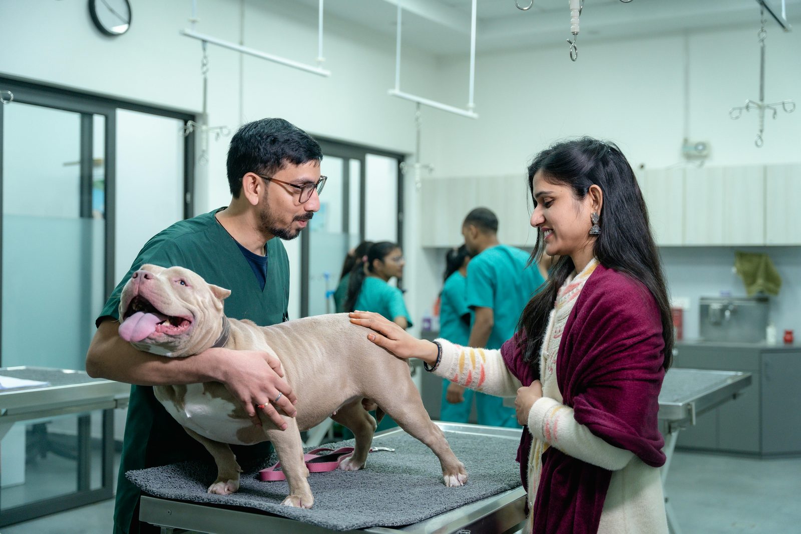 Veterinarian examining a dog while the pet owner watches in a busy clinic